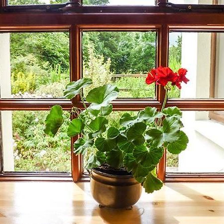 Hawthorn Farm Cottage, Curry Exteriör bild