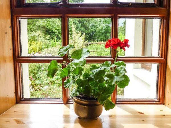 Hawthorn Farm Cottage, Curry Exteriör bild